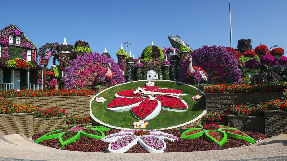 Miracle Garden