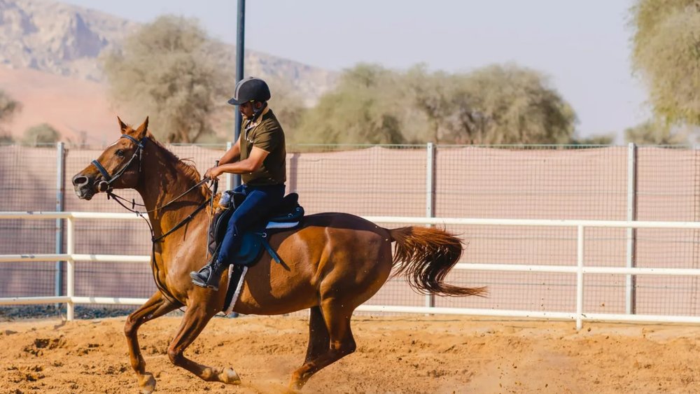 Discover Mleiha Horseback Riding Experience in Sharjah