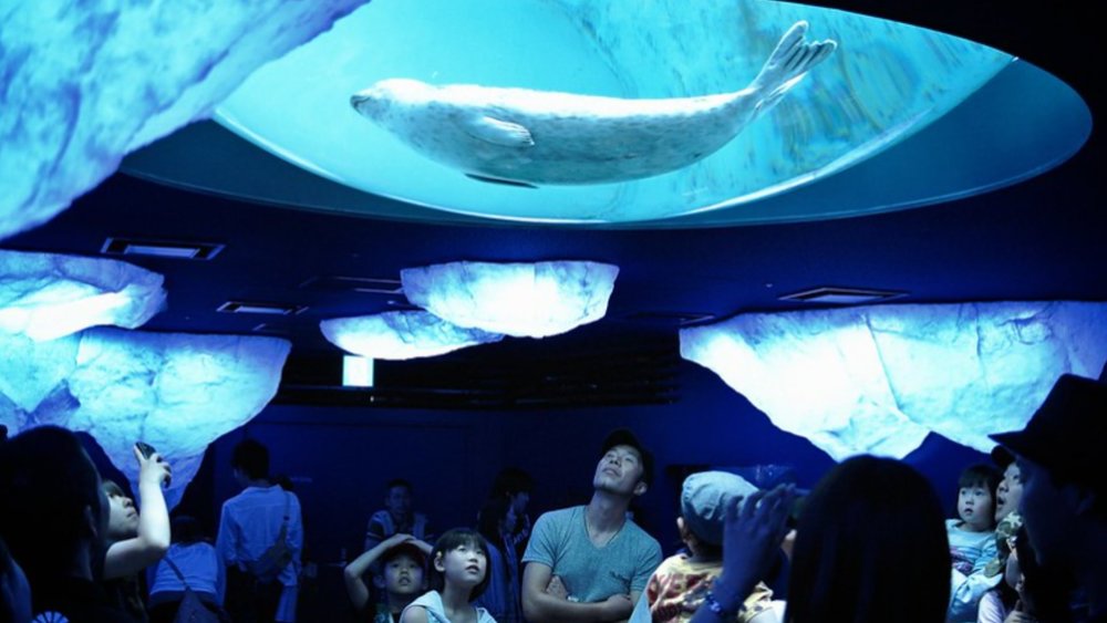 Kaiyukan & Tempozan Marketplace