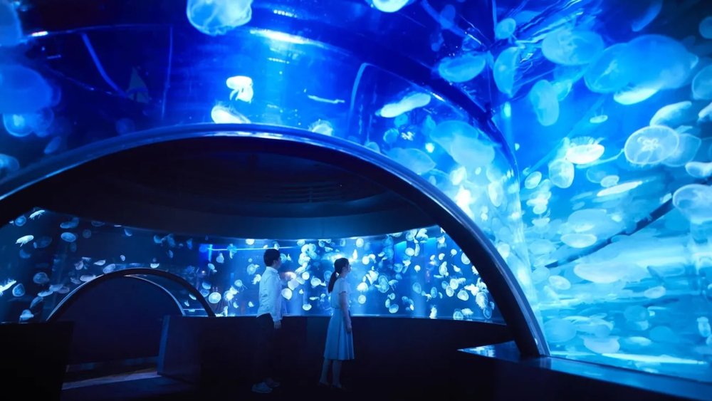 Kyoto Aquarium: A Serene Spot to Admire Marine Life