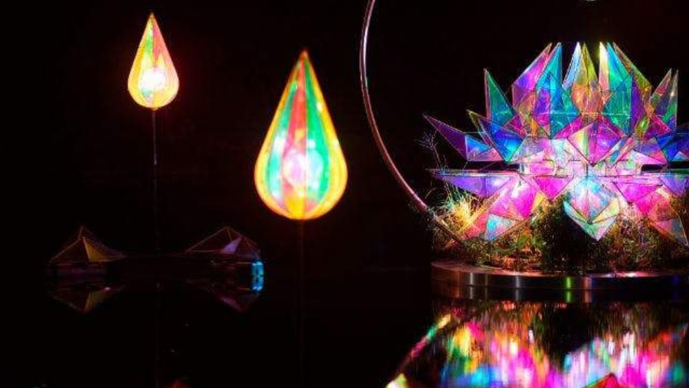 Kyoto Illumination & Rurikei Onsen