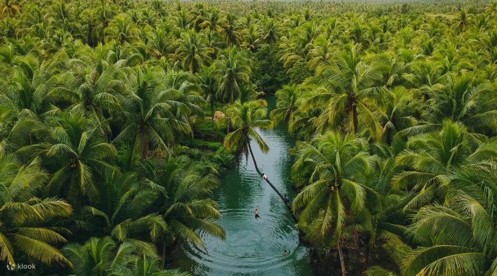 Maasin River overview
