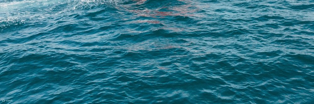 Speed boat in the sea