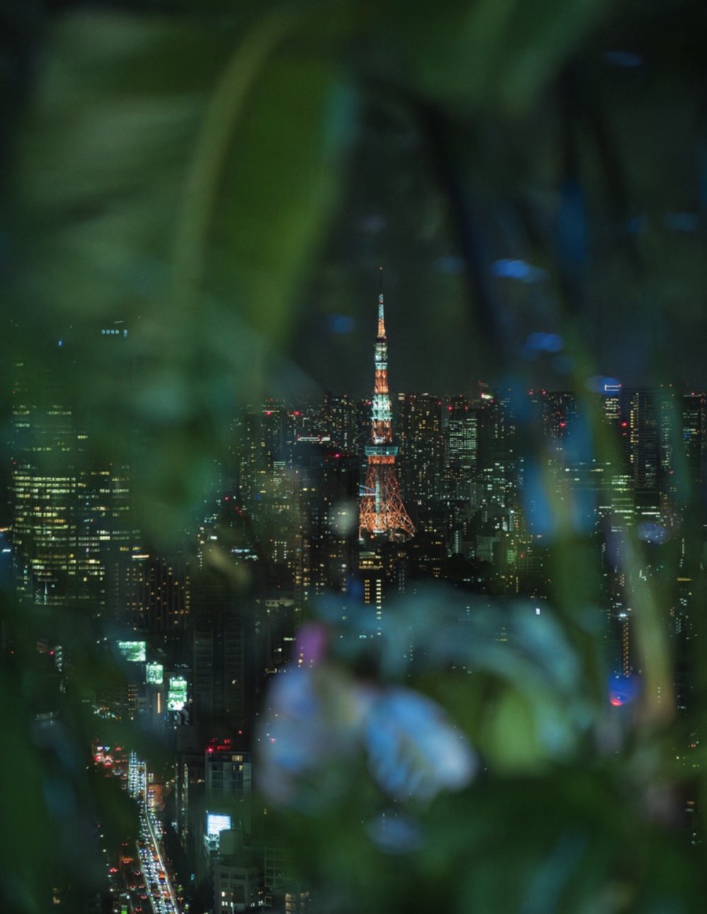 東京鐵塔 Shibuya Sky