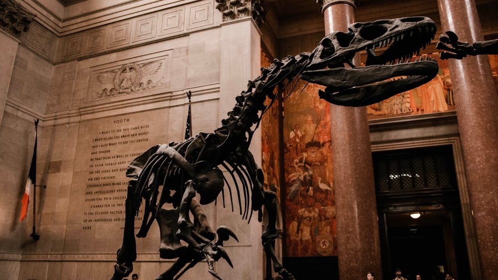 American Museum of Natural History (New York City)