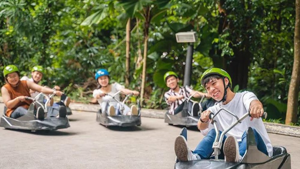 Skyline Luge Singapore