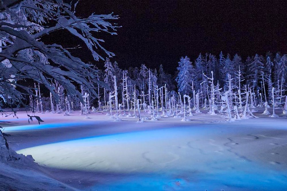 Biei Winter Blue Pond Illumination