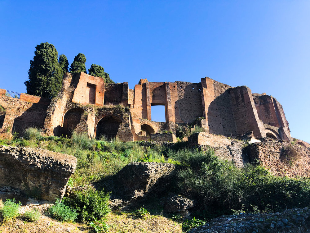 ローマ コロッセオ パラティーノの丘