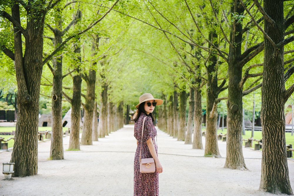 Nami Island best thing to do in Gangwon State