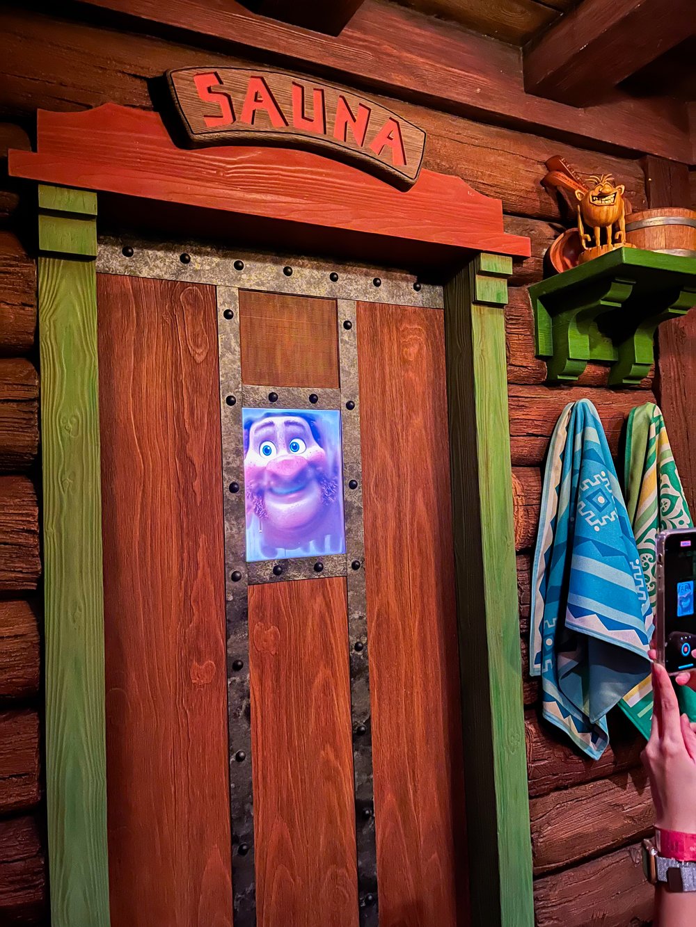 world of frozen rollercoaster