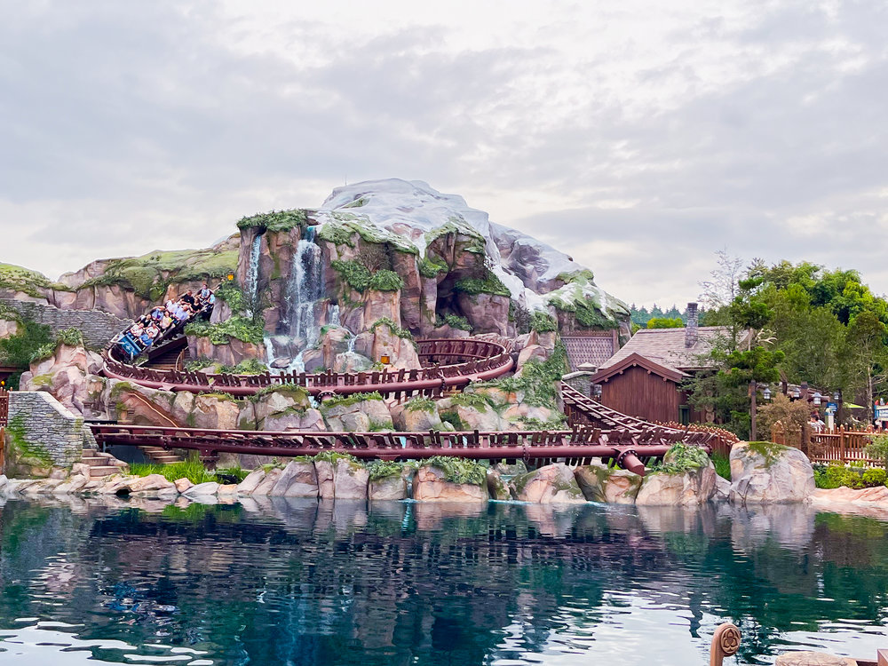 world of frozen rollercoaster