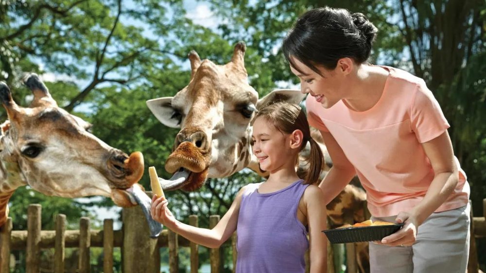 Singapore Zoo & River Wonders