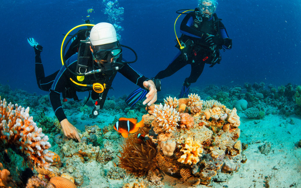 Những Lưu Ý Khi Lặn Scuba Diving