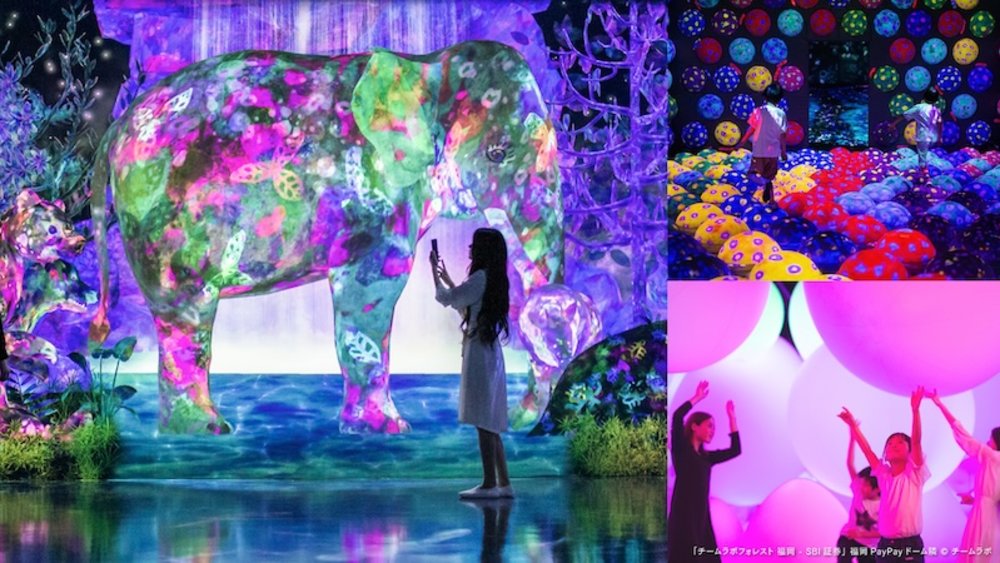 九州福岡teamLab森林美術館