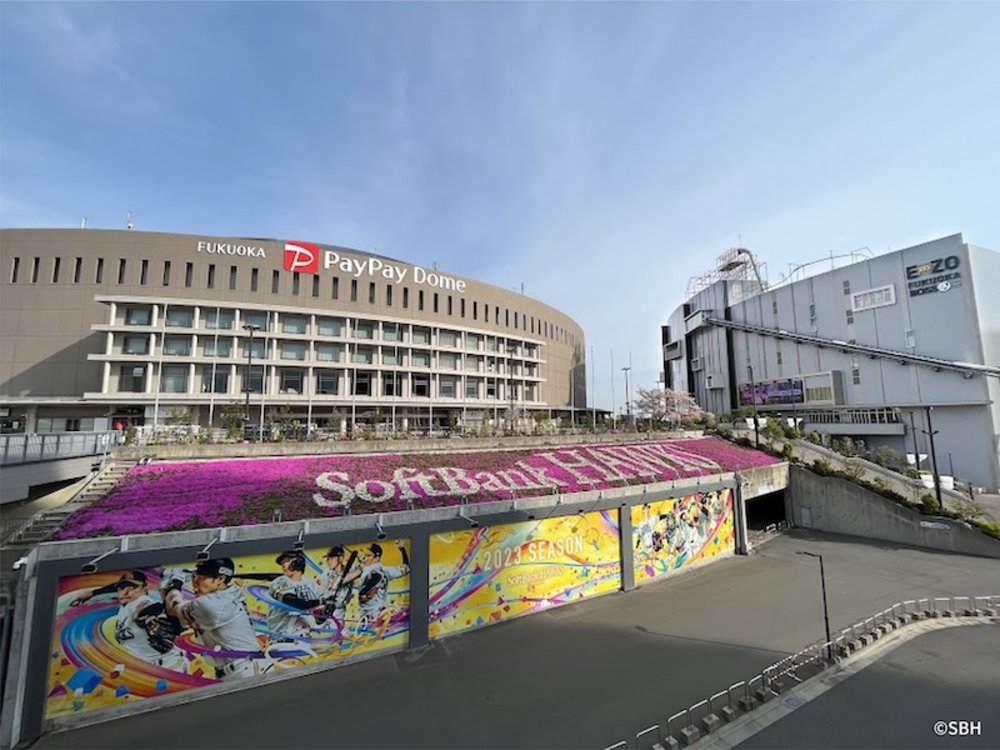 福岡軟銀鷹隊棒球比賽