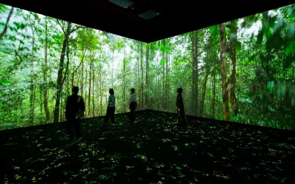 Bảo Tàng Khoa Học Nghệ Thuật