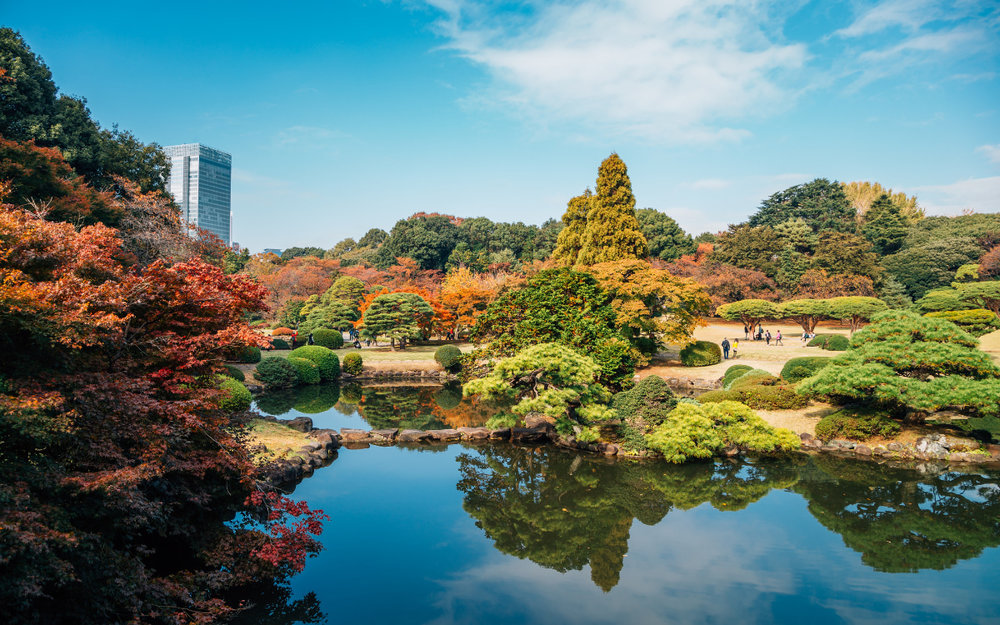  Vườn Quốc Gia Shinjuku Gyoen