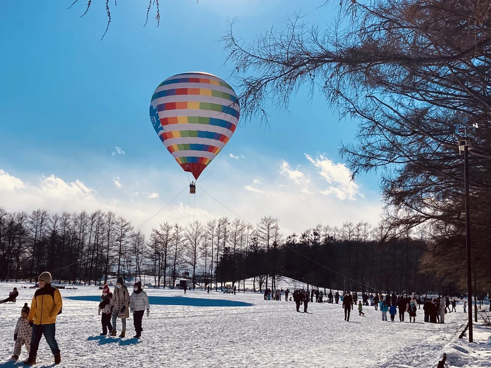 Obihiro Ice Festival