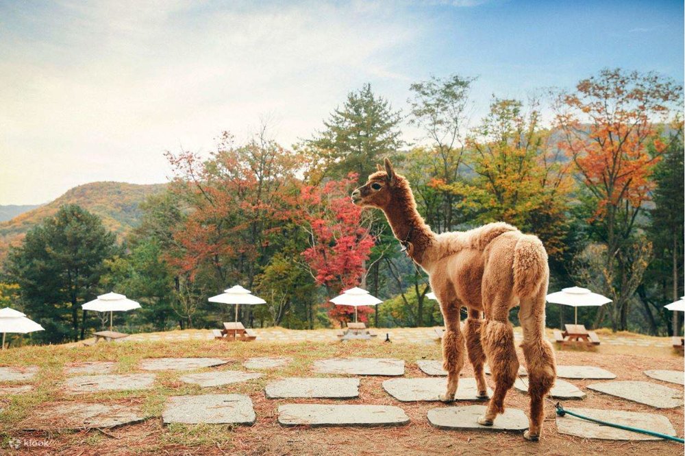 dia-diem-du-lich-han-quoc