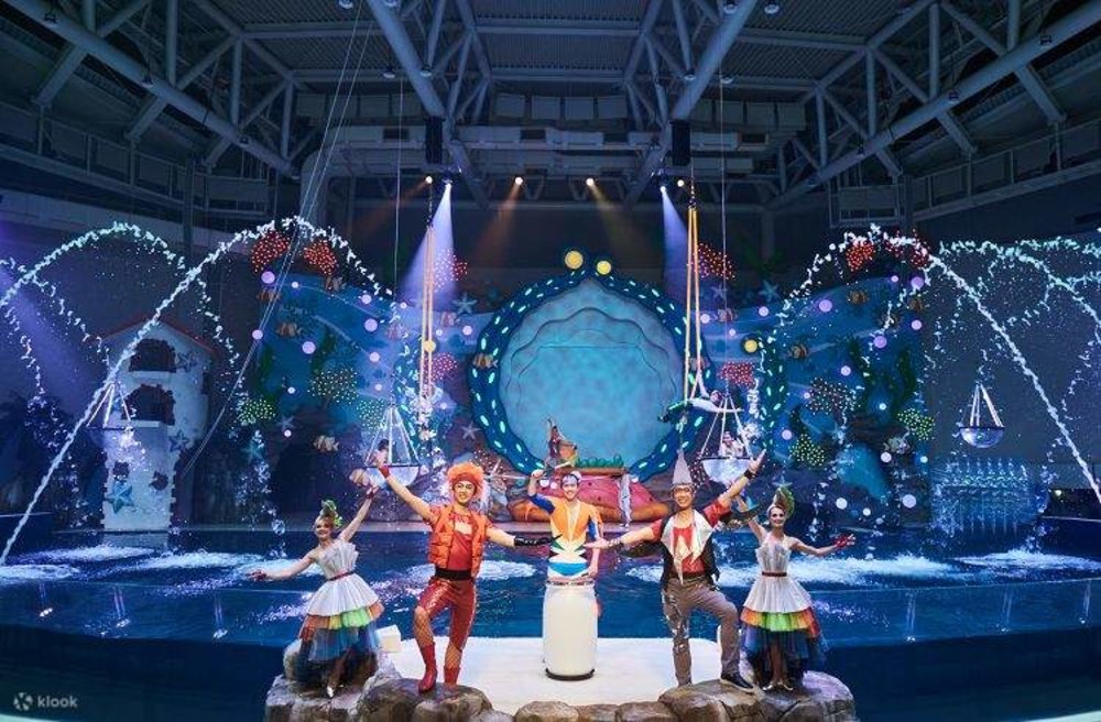 Thuỷ Cung Aqua Planet Trên Đảo Jeju 