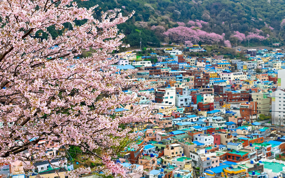 Khám Phá Làng Văn Hoá Gamcheon - Gamcheon Culture Village