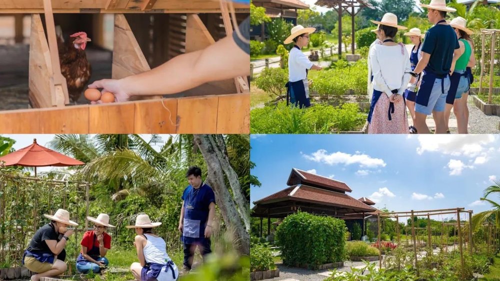 Grandma’s Home Cooking School 