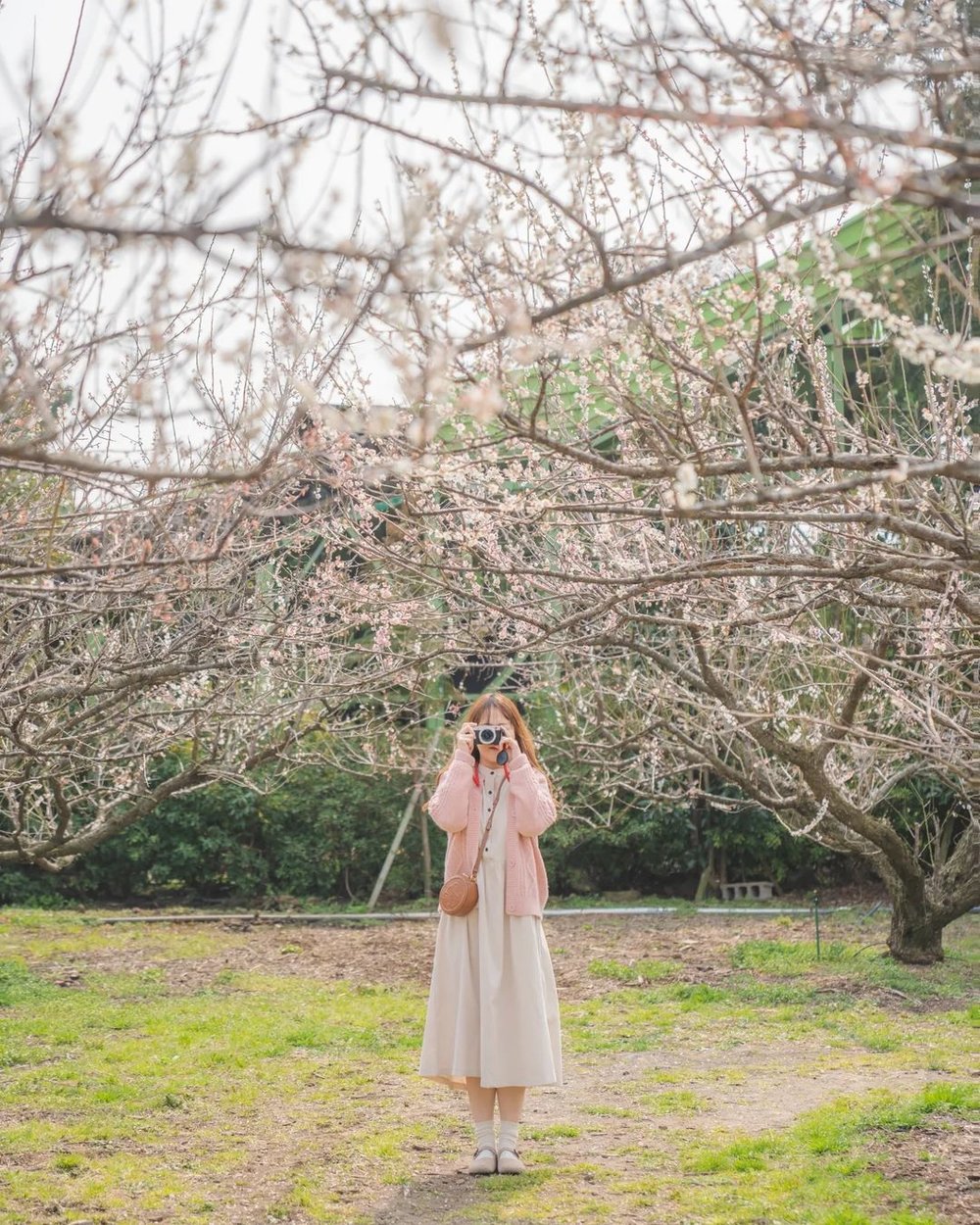 Visit Hueree National Park in Jeju Island itinerary