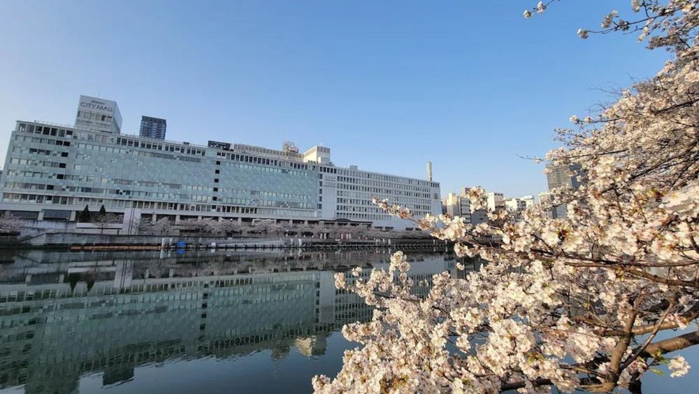 Check out this sick view from the Hotel Osaka Castle!  Credits: Klook