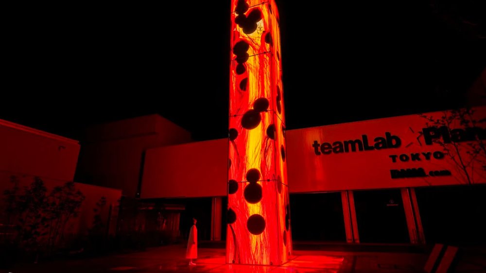 Check out teamLab's spectacular interactive galleries in Odaiba! Credits: Klook