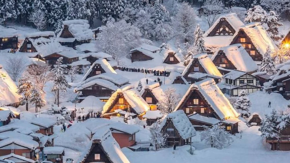 Snow-draped trees transform Shirakawa into a winter paradise. Credits: visitjapanau on Instagram