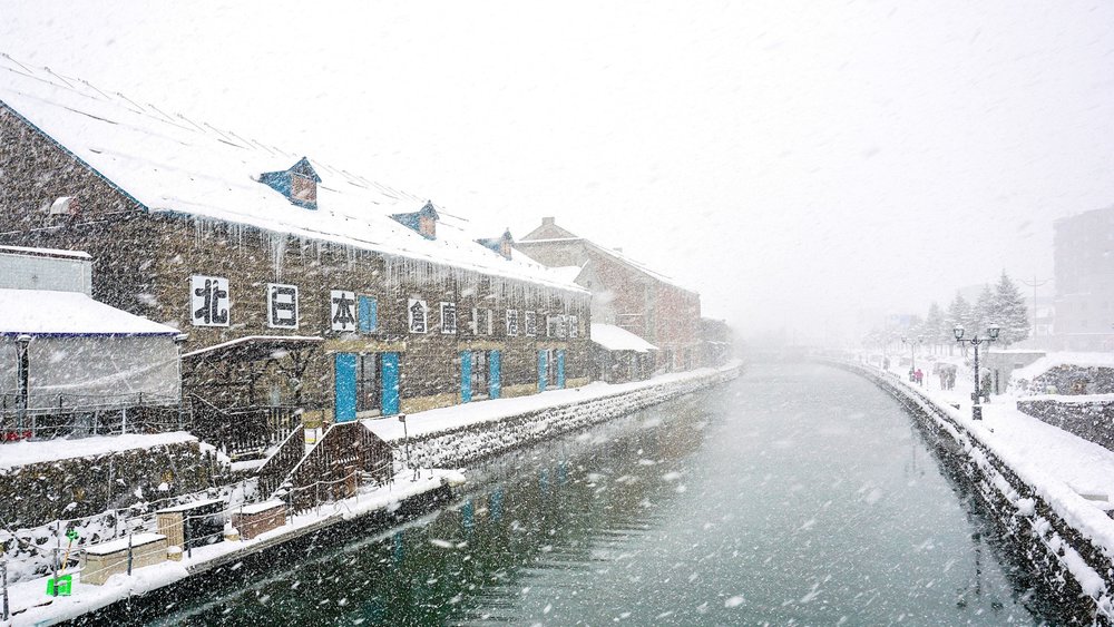 Let the gentle kiss of snowfall take you on a trip to wonderland. Credits: Yuri Shirota on Unsplash