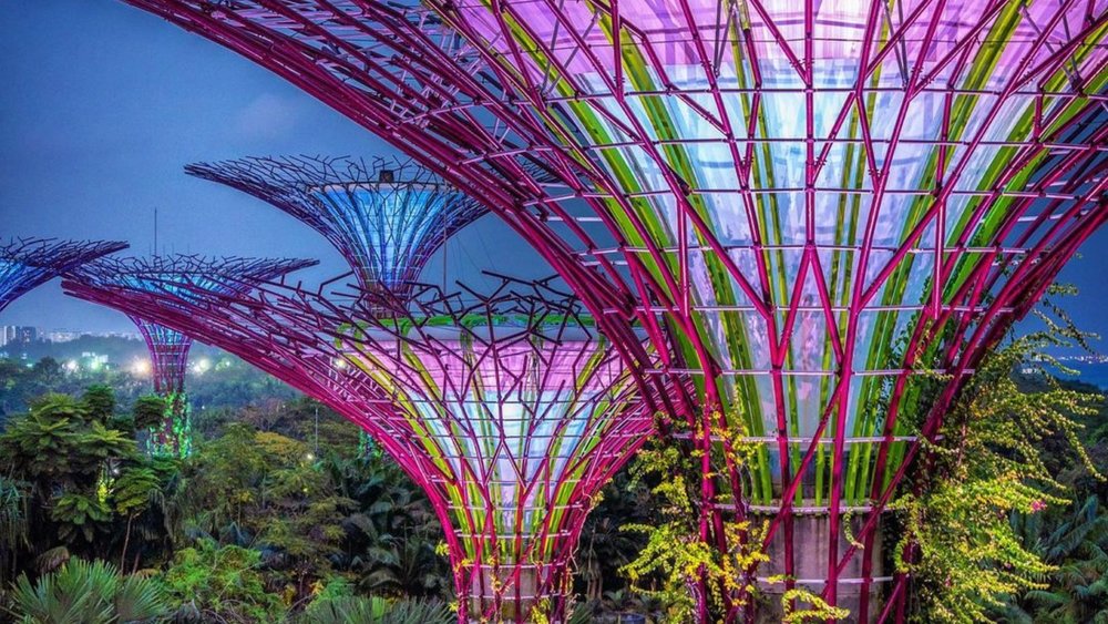The lush greenery creates a futuristic wonderland in Singapore's heart. Image credits to @documenteddepartures on Instagram