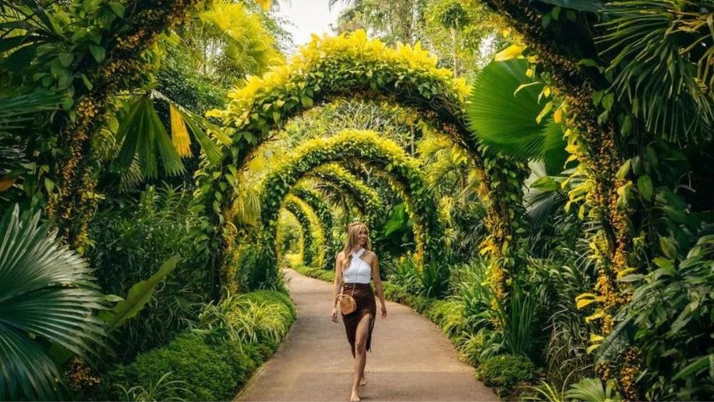 The scenery is giving a tropical vibe. Image credits to @kalenemsley