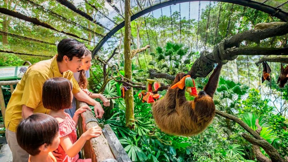 I dont mind spending time watching sloth eating cause they are cute! Image credits to Klook