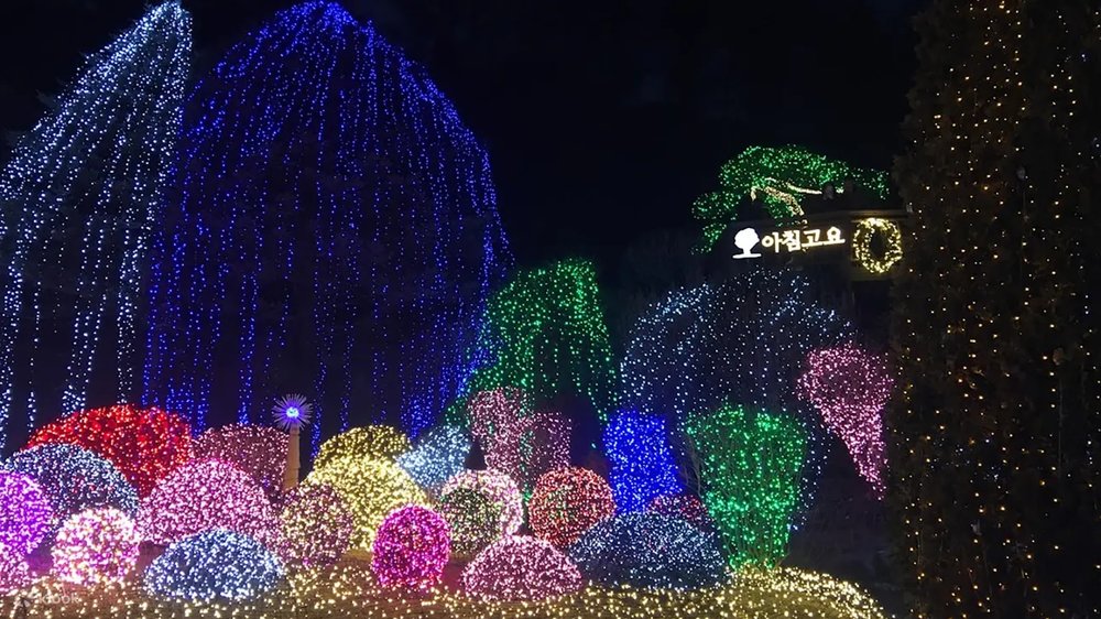 Light illumination in the garden