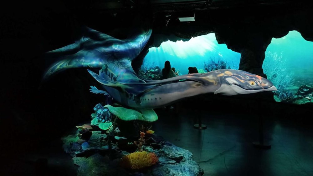 It feels like you are in a magic world! Image credits to Tang