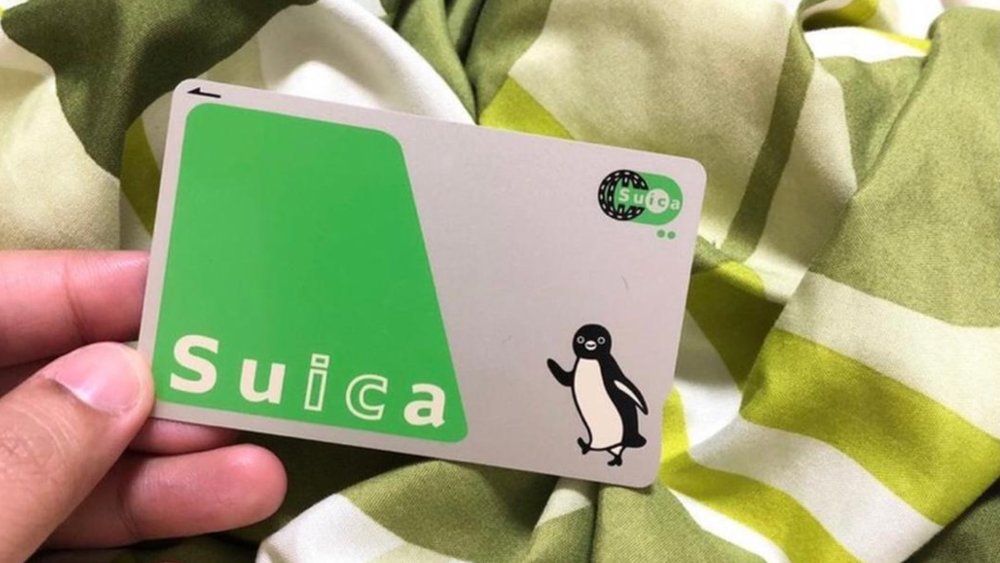 The Suica Card is a one-stop shop for your payment needs! Image credits to Alexandra Camille