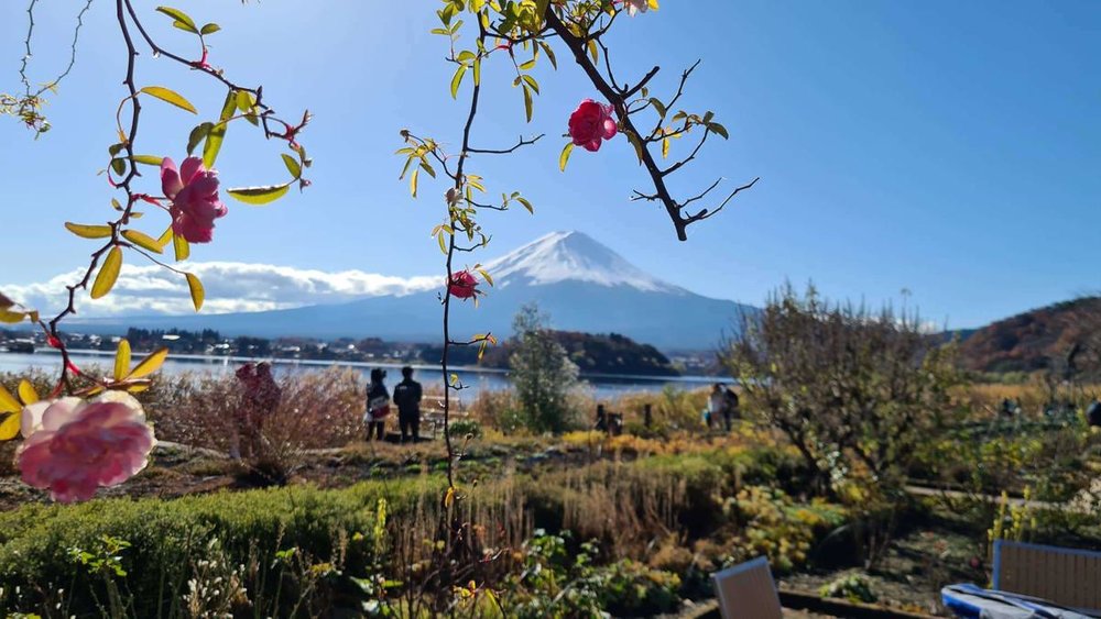 Mount Fuji is a must-visit spot for travellers in Japan! Image credits to Maria Fatima