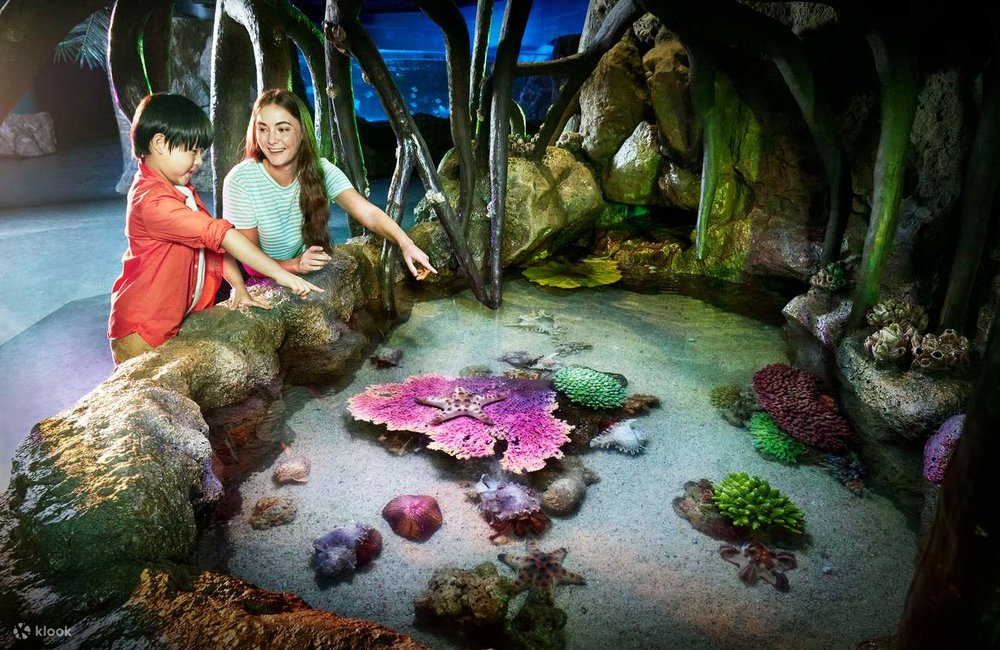 Giờ Hoạt Động Thủy Cung SEA LIFE Bangkok