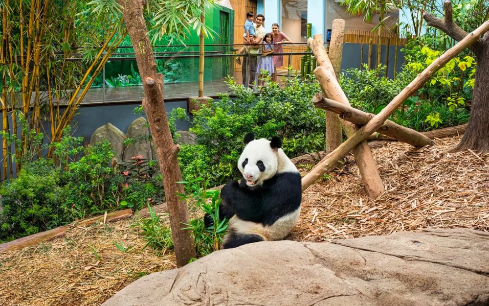 lich-trinh-du-lich-singapore-6-ngay-5-dem