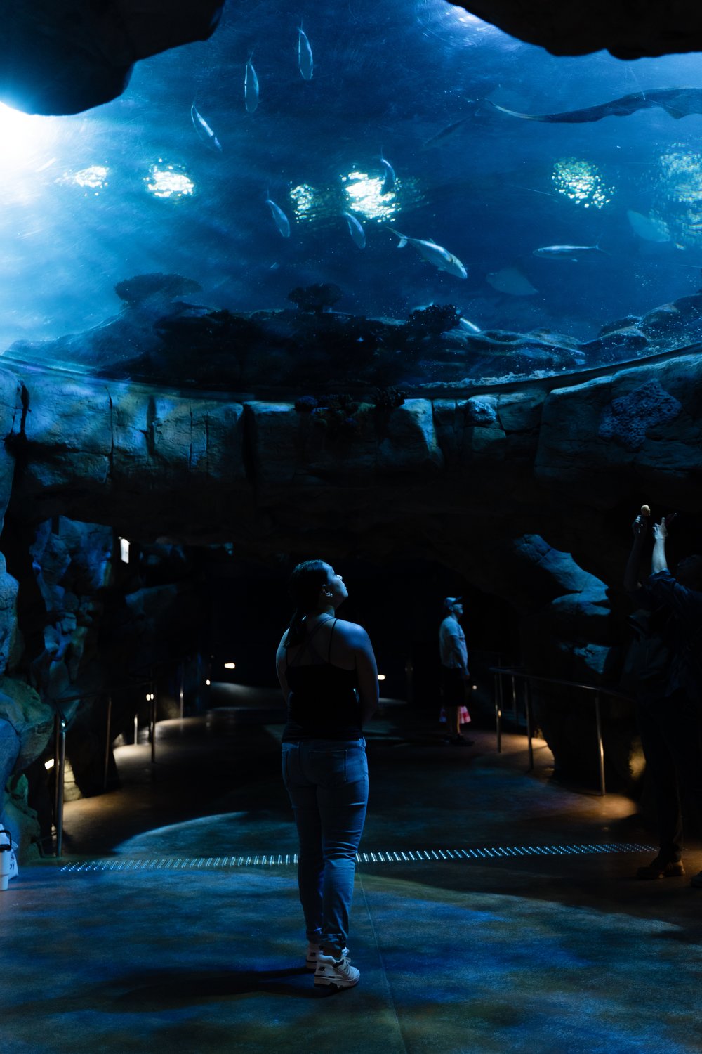 Inside the grand aquarium
