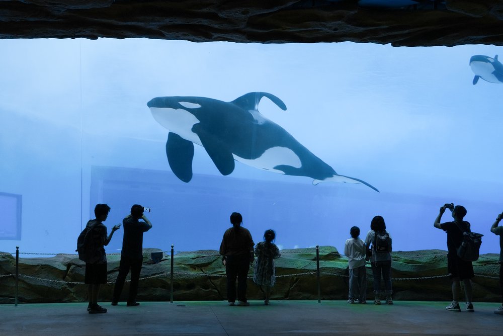 珠海長隆 宇宙飛船