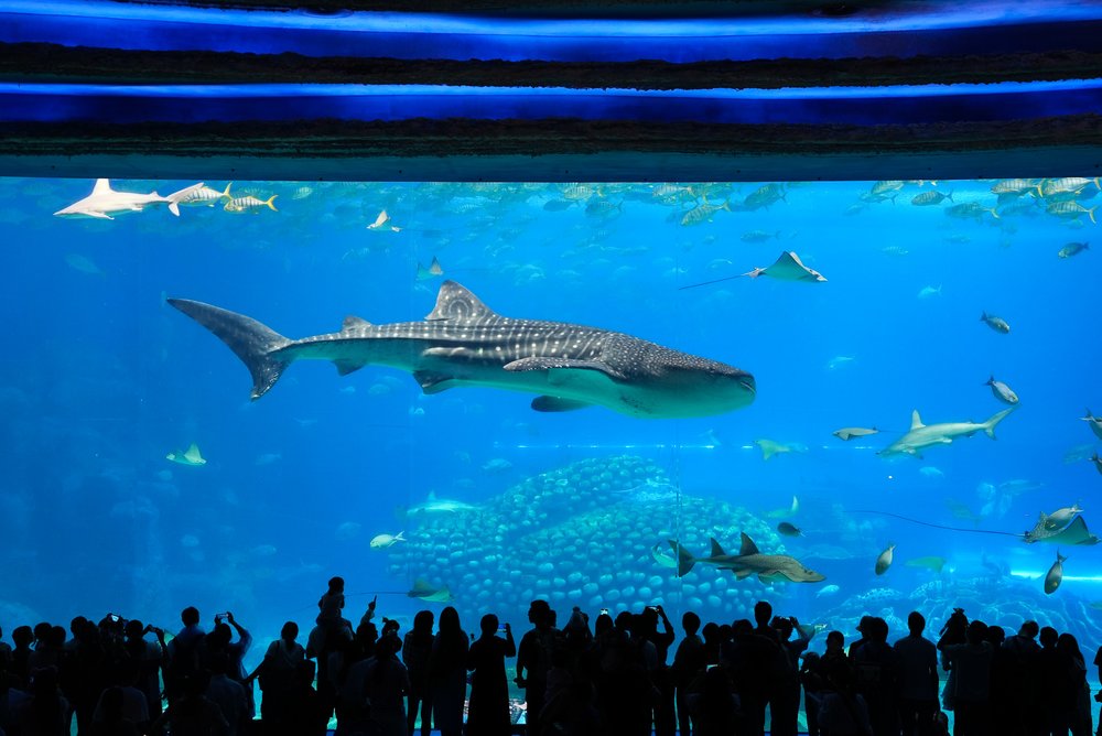 珠海景點 長隆海洋王國