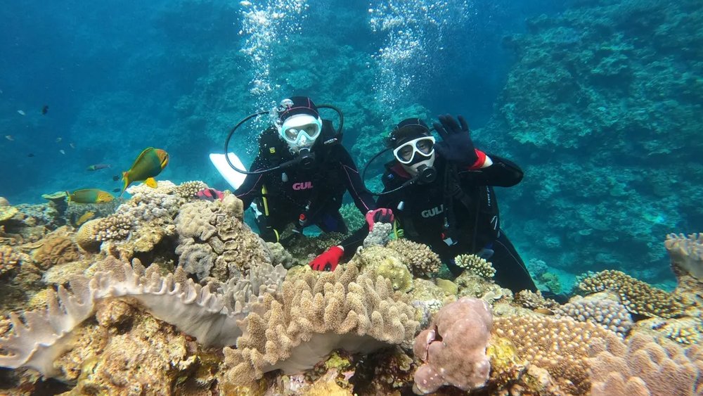  Đi Lặn Biển Và Chơi Dù Lượn Ở Đảo Kerama