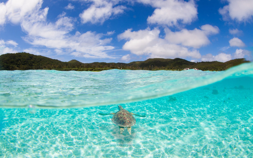 Chi Phí Du Lịch Okinawa 3 Ngày 2 Đêm Bao Nhiêu? 