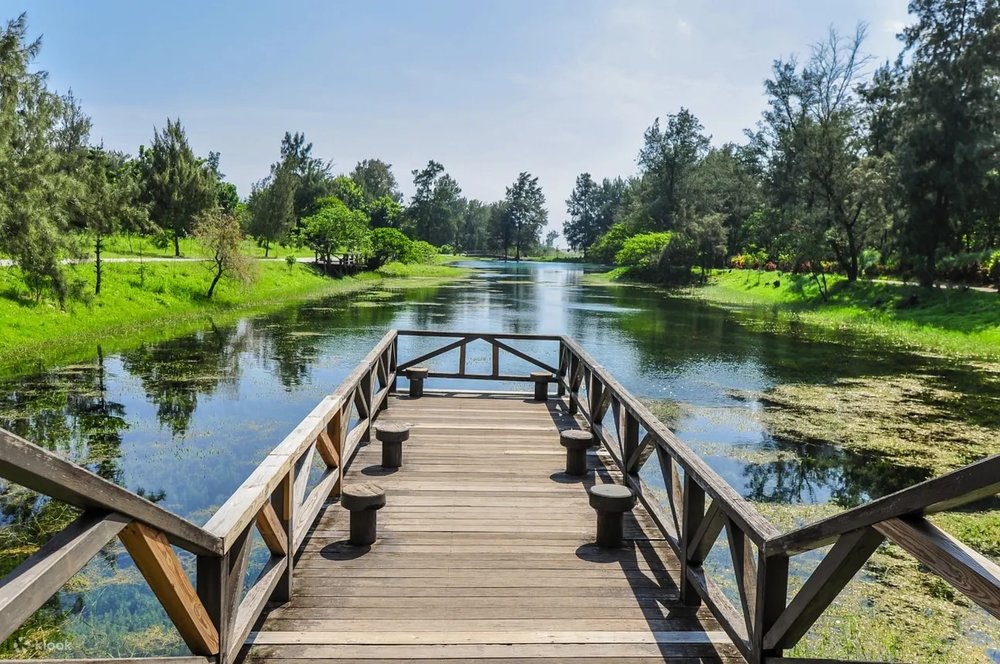 台東景點台東森林公園