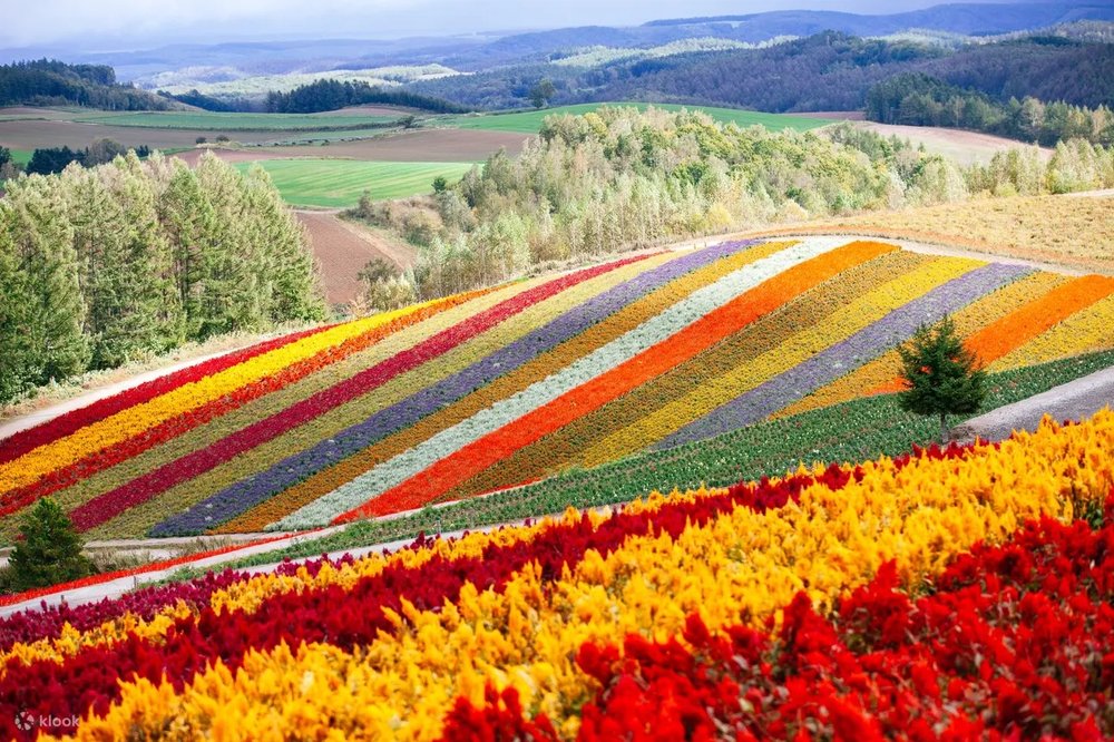 日本SIM卡推薦日本eSIM