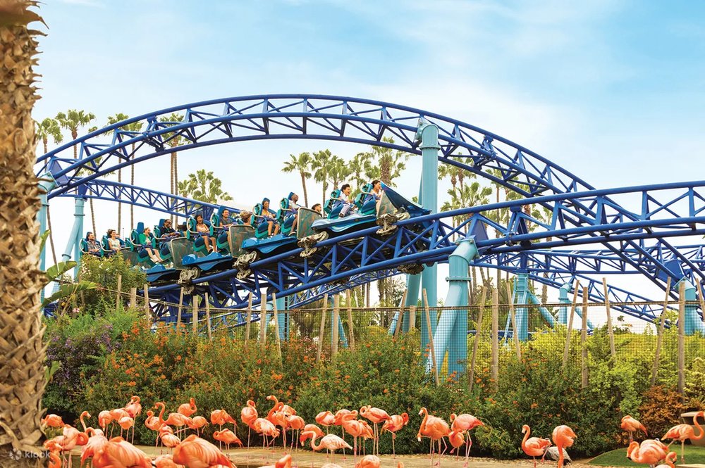 Seaworld san diego rides