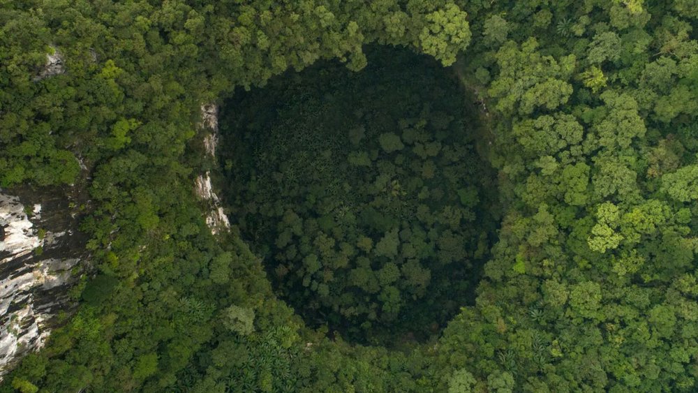 Khám Phá Hệ Sinh Thái Đa Dạng Trong Lòng Hang