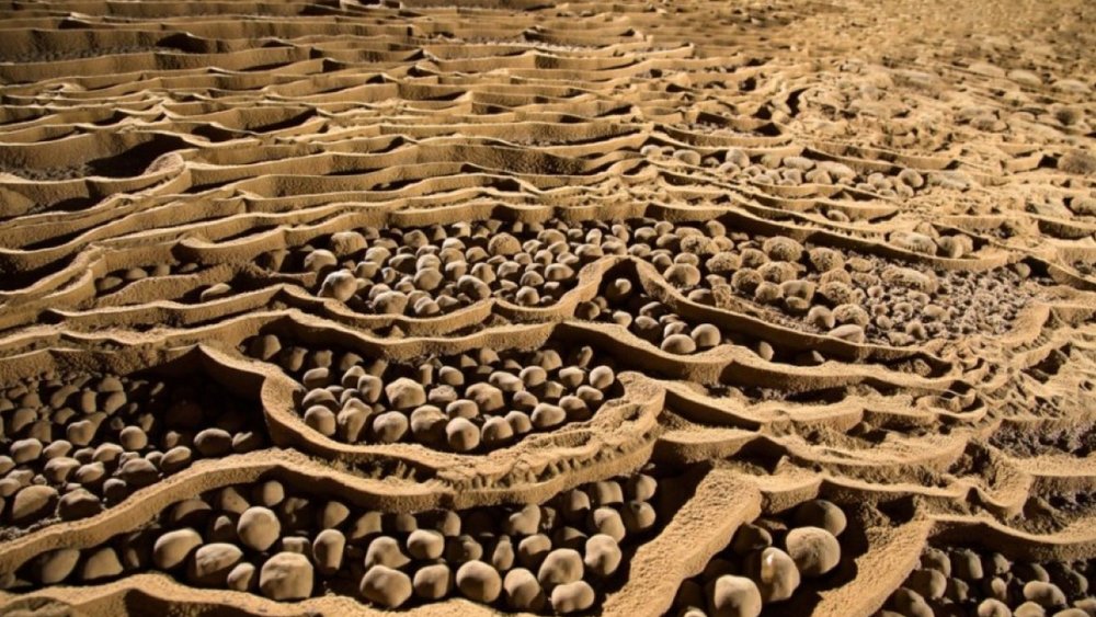 Chiêm Ngưỡng Thạch Nhũ Và Ngọc Trai Hang Động Đầy Ấn Tượng